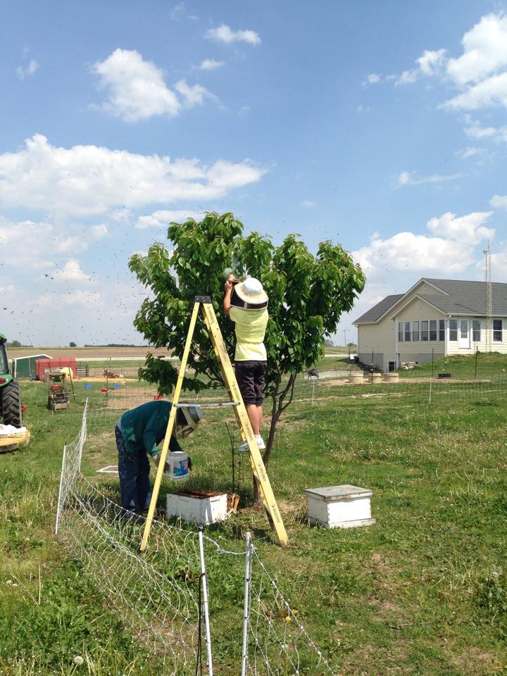 11149308_979937478697848_5860251021160549677_n