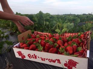 11269515_988846467806949_1660186835916331512_n